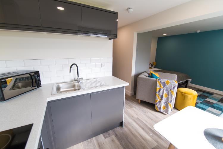 Studio, Broomgrove Apartments<br>9 Broomgrove Road, Ecclesall Road, Sheffield S10 2LW